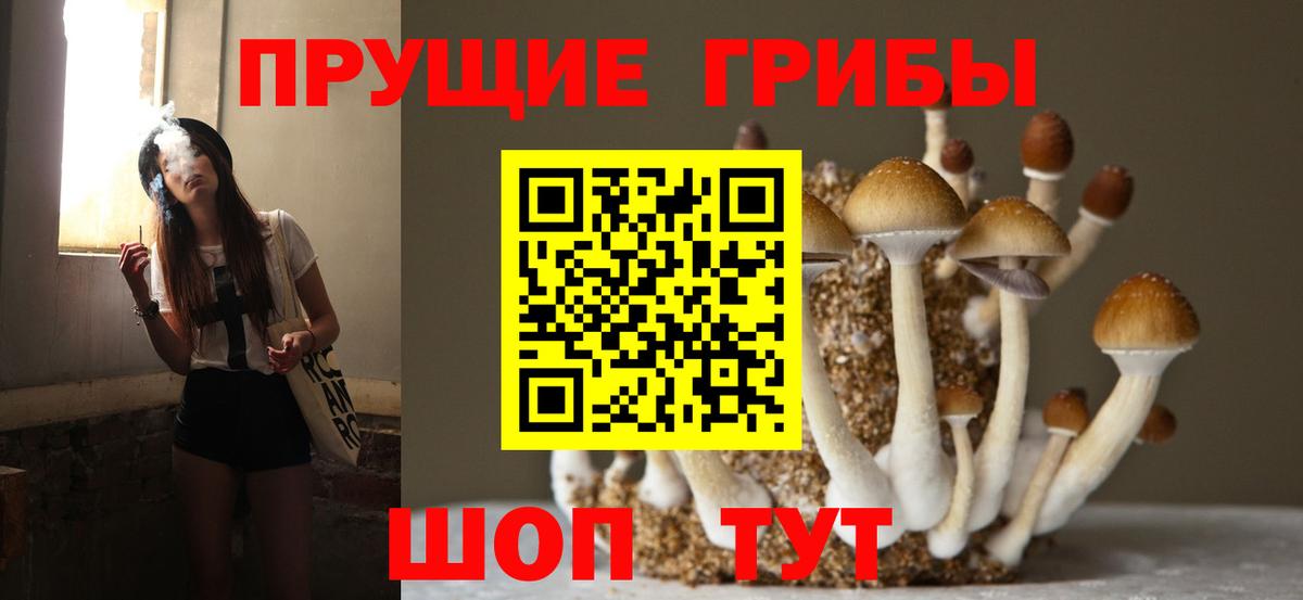 Псилоцибиновые грибы Cubensis Подольск